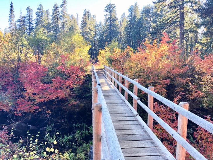 Best places for fall foliage in the U.S.