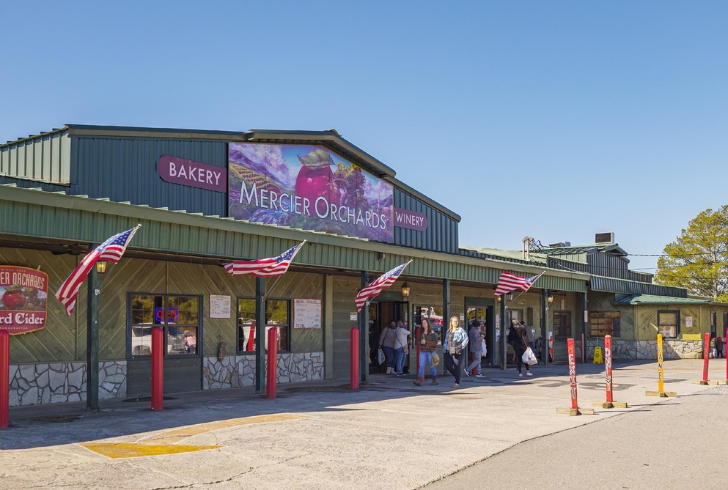 Things to Do in Blue Ridge - Visit Mercier Orchards 